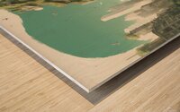Nature reclaiming cities. Illustration style Wood print
