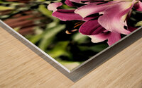  Pink Vibrant Lilies                                                                                                                     Wood print