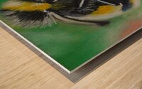 Bumblebee Feast Wood print