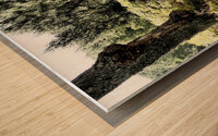  Scottish Highlands Path through the Woodland                                                                                                                     Wood print