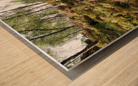  Scottish Highlands Tranquil Woodland Landscape                                                                                  Wood print