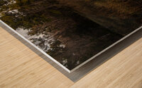  National Forest Tranquil Reflections Wood print