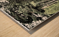 Scottish Highlands Mixed Forest Trail                                                                                                                      Wood print