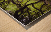 Enchanted Forest Scene Wood print