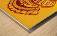 Vintage USC Trojan Cartoon Art Wood print