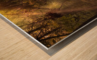 Virginia Cypress Forest Reflections Wood print