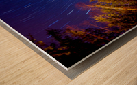 forest star trails  Wood print