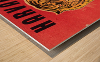 1939 Harvard vs. Princeton Wood print