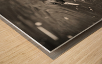 Duck in Black and White Wood print
