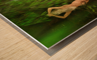 Willow Creek Female Wood print