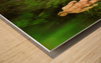 Willow Creek Male Wood print