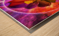 Crocus Wood print