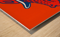 Vintage Florida Gators Print Wood print