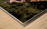 Profile of a Giraffe Wood print