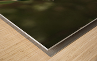 Avant les pommes Wood print