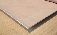 2554217 Wood print