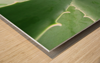 20200119120149 Wood print