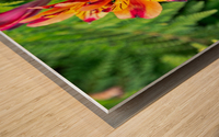 flowers nature Wood print