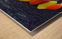 folhas Wood print