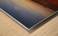 horizon plant sunrise Wood print