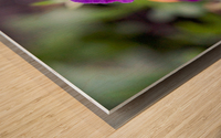 nature outdoor Wood print