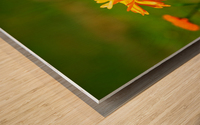 plant field meadow Wood print