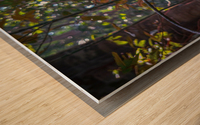 Twisted Vine Wood print