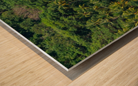 Costa Rica Beach Wood print