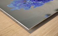 Blue Delphinium - Pacific Giant Wood print