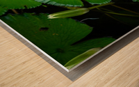Ribbit Wood print