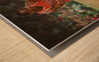 1985 Dennis Johnson Drive vs. Jordan Wood print