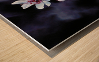 Night Flowers Wood print