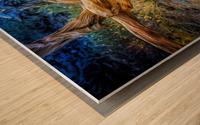 Fallen Bristlecone Wood print