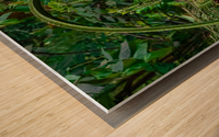 Green Arch Wood print