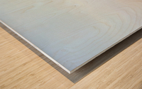 Grain Shed Wood print