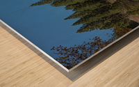 Aspen Photobomb Wood print