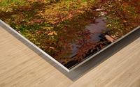 Light and Color Wood print