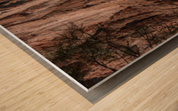 Bandelier Cliff Dwellings Wood print