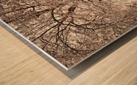 Autumn tree in sunlight Wood print