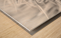 Flowing Grass Wood print