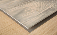 Japanese Silver Grass Wood print