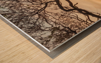 Branches at sunset Wood print