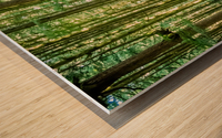 Straight and True Wood print