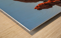 Arches Sphynx Like Wood print