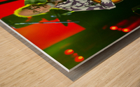 Steve Howe Wood print
