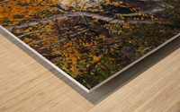 birchy falls Wood print