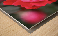 Rose Wood print