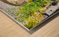 Hidden Falls - Waterfall Pacific Northwest USA Wood print