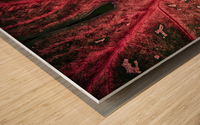 Red Leaf Wood print
