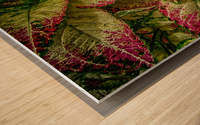 color leaves 2 Wood print